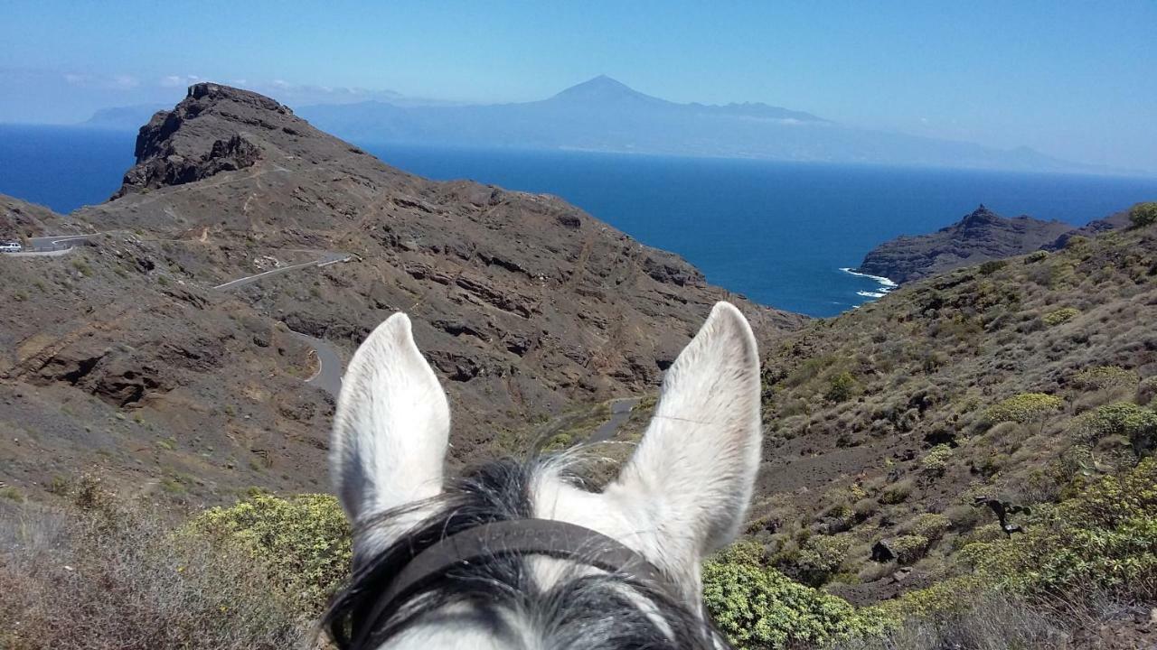 Apartamento Nek San Sebastián de la Gomera Exterior foto